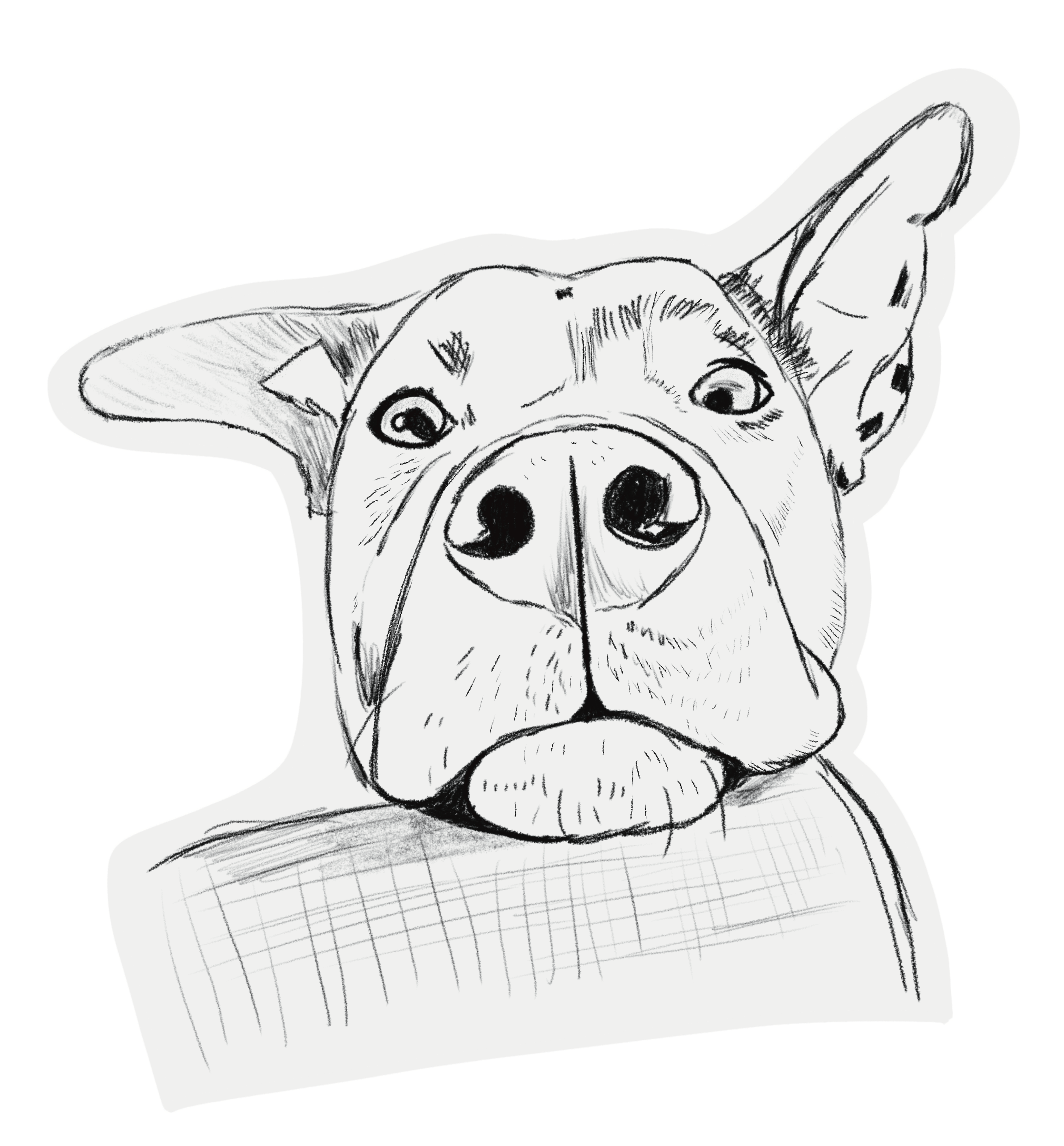 poorly drawn sketch of pet